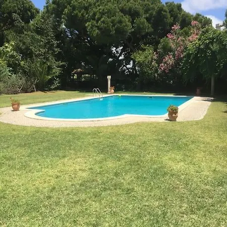 Villa Vale Do Lobo-villa Large Pool,great Golf,piano,